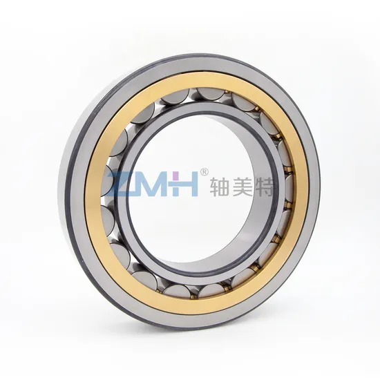 Cylinder Roller Bearing Precision Bearing Nu228ecmlc3V2 P6 for Vibration Screen